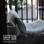 sheep skin